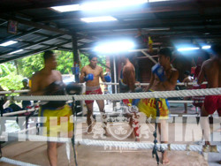 사진 = 룩반야이 짐 선수들 / 출처 = Muay Thai Camps Thailand